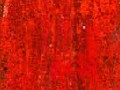 Red Python