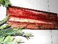 Spumante